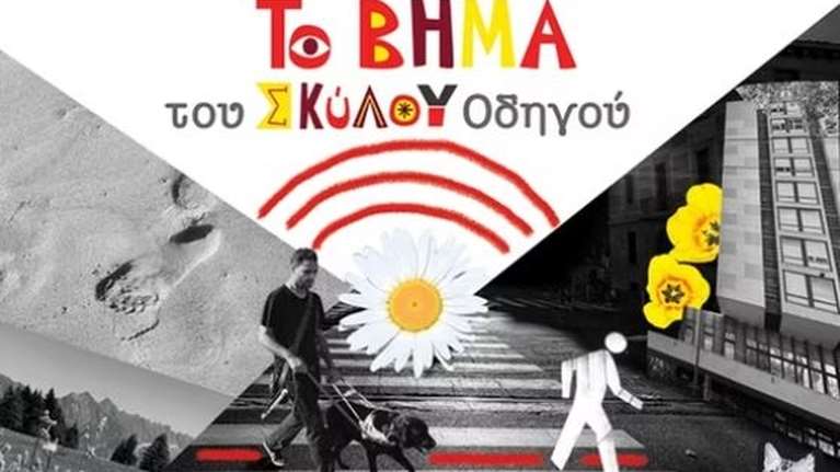 &quot;To βήμα του σκύλου οδηγού&quot;: Το βιβλίο γι&#39; αυτόν που τρέχει μπροστά από τον άνθρωπο, ανοίγοντάς του δρόμο στη ζωή