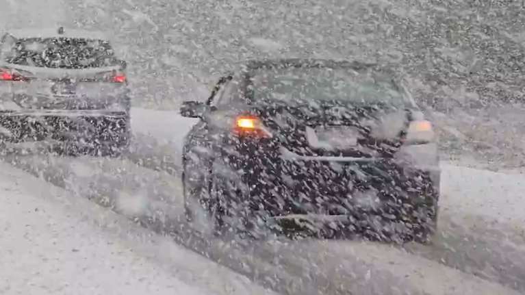 Πολικές θερμοκρασίες στις ΗΠΑ: &quot;Χιονοθύελλα λίμνης&quot; στο Μίσιγκαν, πάγωσαν τα ιγκουάνα στη Φλόριντα [εικόνες - βίντεο]