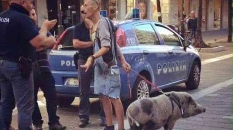 Απαγόρευση κυκλοφορίας: Τα social media έκαναν &quot;πάρτι&quot; - &quot;Βγάζω βόλτα ανθρώπους, 5 ευρώ την ώρα&quot;