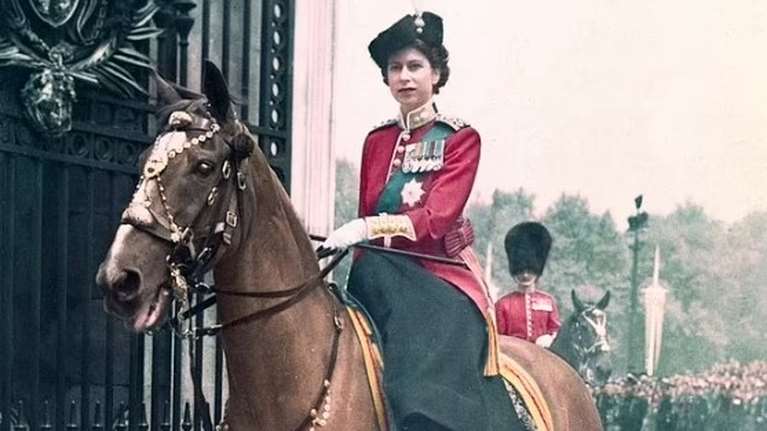 Βρετανία: Γιατί ο Κάρολος πουλάει τα αγαπημένα άλογα της βασίλισσας Ελισάβετ [εικόνες]