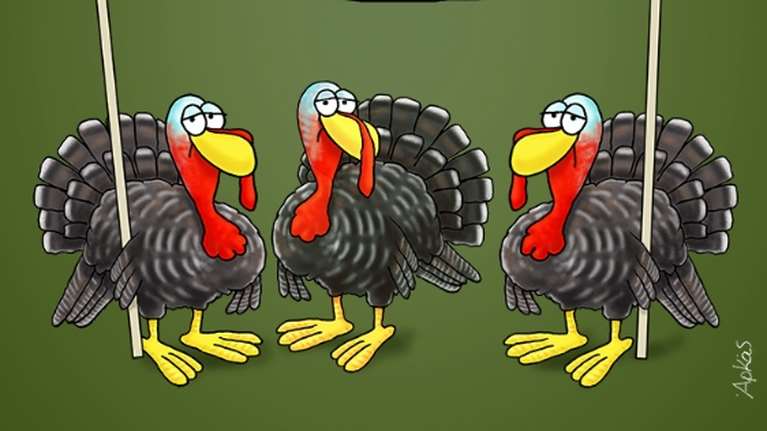 Η καλημέρα του Αρκά και... η διαμαρτυρία της γαλοπούλας [εικόνα]