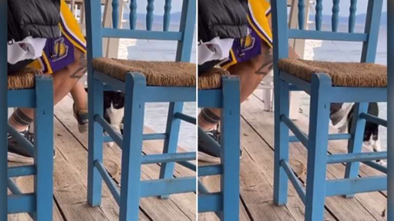 Αιδηψός: Σεσημασμένος για διακίνηση ναρκωτικών ο 30χρονος που κλώτσησε το γατάκι - Είχε προφυλακιστεί για 67 κιλά κάνναβης