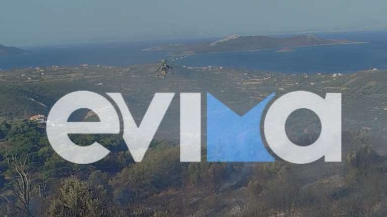 Φωτιά στην Εύβοια: Εκκενώθηκε ξενοδοχείο, εστάλη &quot;112&quot; - Ισχυρές δυνάμεις και μάχη με τον άνεμο