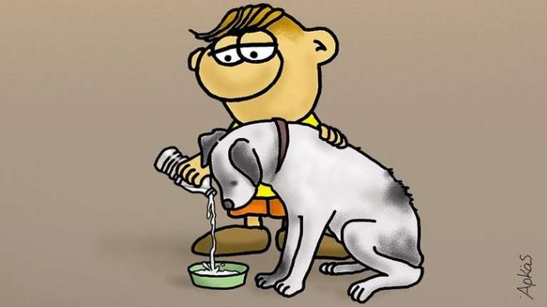 Φωτιές - Το μήνυμα του Αρκά για τα πυρόπληκτα ζώα: Βοηθάμε όπως και όπου μπορούμε