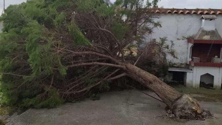 Μεγάλες καταστροφές στην Πέλλα από σφοδρότατους ανέμους 13 μποφόρ [εικόνες]