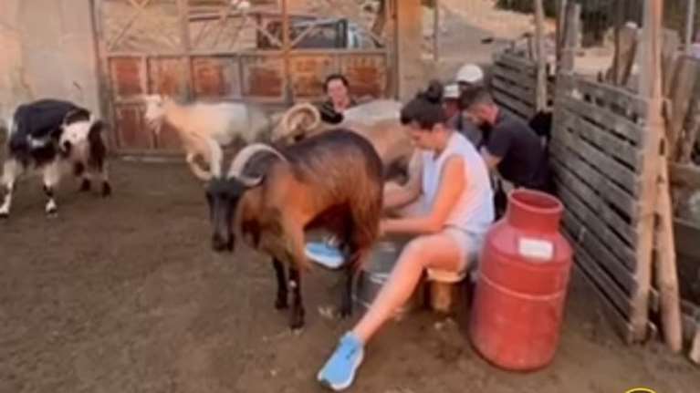 Ποια βουλευτής του ΣΥΡΙΖΑ μπήκε στο... μαντρί και άρμεξε γίδια [βίντεο]