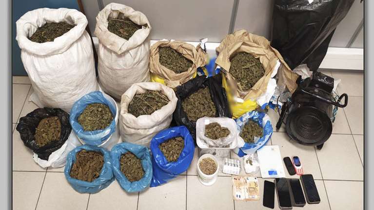 Αγιά Λάρισας: Ζευγάρι είχε στήσει εργαστήριο καλλιέργειας χασίς μέσα σε στάνη [εικόνες]