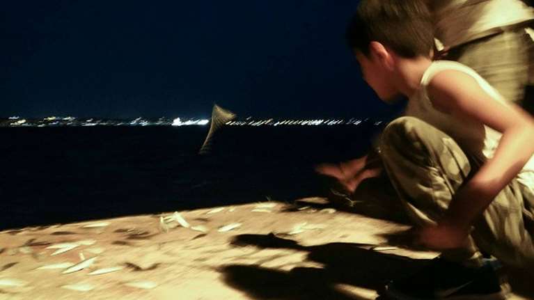 Θεσσαλονίκη: Γιατί έκαναν &quot;σάλτο μορτάλε&quot; οι σαρδέλες στην προκυμαία [εικόνες]