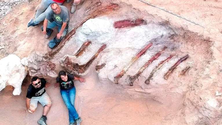 Πορτογαλία: Ο μεγαλύτερος δεινόσαυρος στην Ευρώπη βρέθηκε στην πίσω αυλή ενός σπιτιού στο Πομπάλ