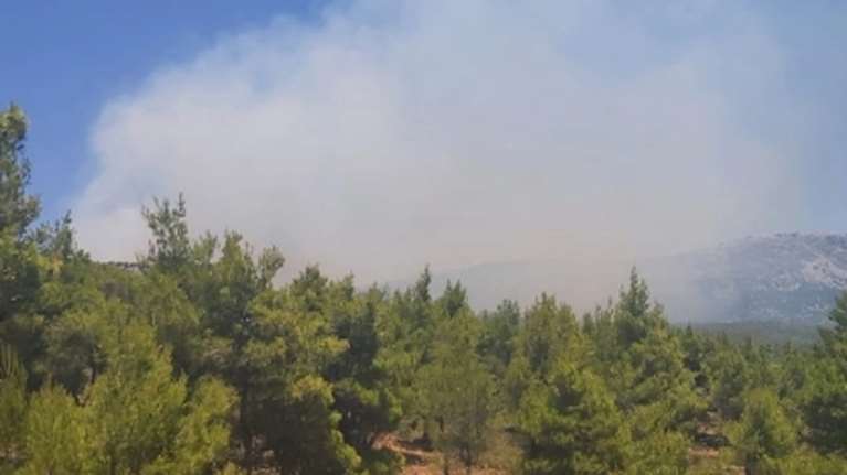 Φωτιά στον Κιθαιρώνα: Καλύτερη η εικόνα της πυρκαγιάς στα Βίλια - Εκκενώθηκε προληπτικά κατασκήνωση