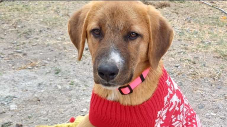 Έτσι απλά η οικογένειά της την πέταξε από το αυτοκίνητο - Από το ίδιο αυτοκίνητο που την πήγαιναν βόλτα