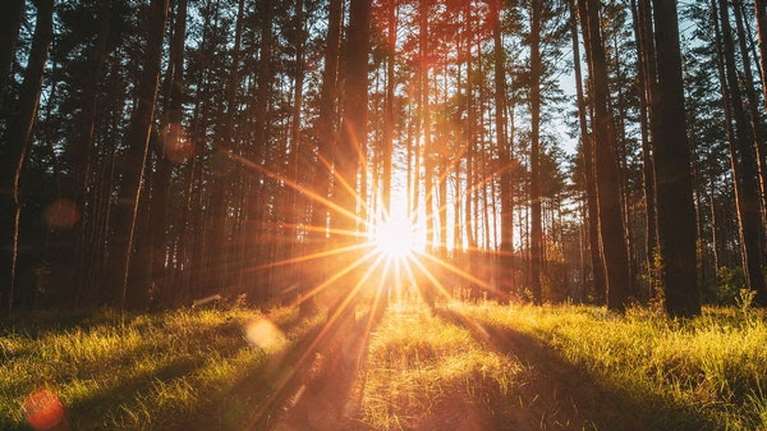 Ιδρυμα Σταύρος Νιάρχος: Ξεκινά η υλοποίηση της πρωτοβουλίας ύψους 15.000.000 ευρώ για τη στήριξη της Βόρειας Εύβοιας