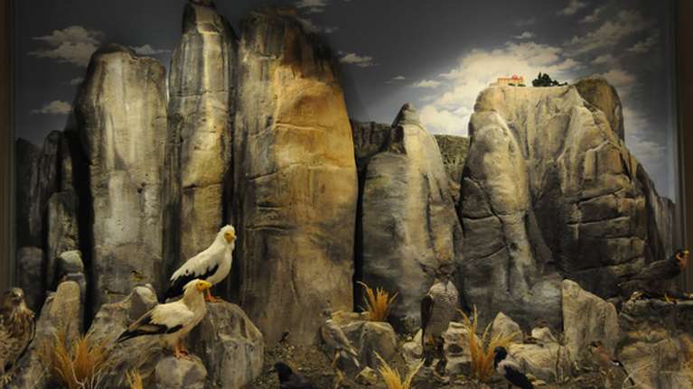 &quot;Χρυσό&quot; στο Μουσείο Φυσικής Ιστορίας Μετεώρων και Μουσείο Μανιταριών