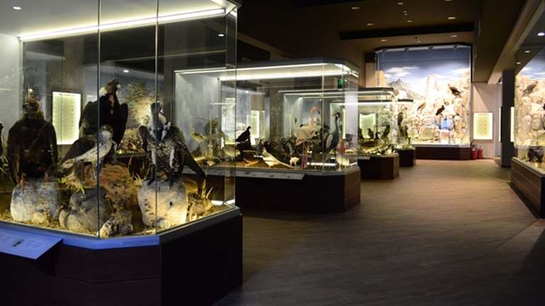 Σημαντικές βραβεύσεις για το Μουσείο Φυσικής Ιστορίας Μετεώρων και Μουσείου Μανιταριών - 18 βραβεία μόνο το 2023