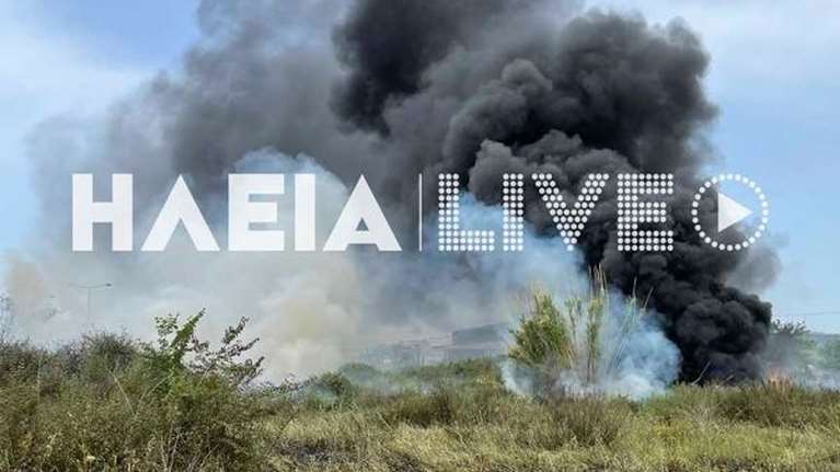 Υπό έλεγχο η φωτιά κοντά στην εθνική οδό Πύργου - Αρχαίας Ολυμπίας