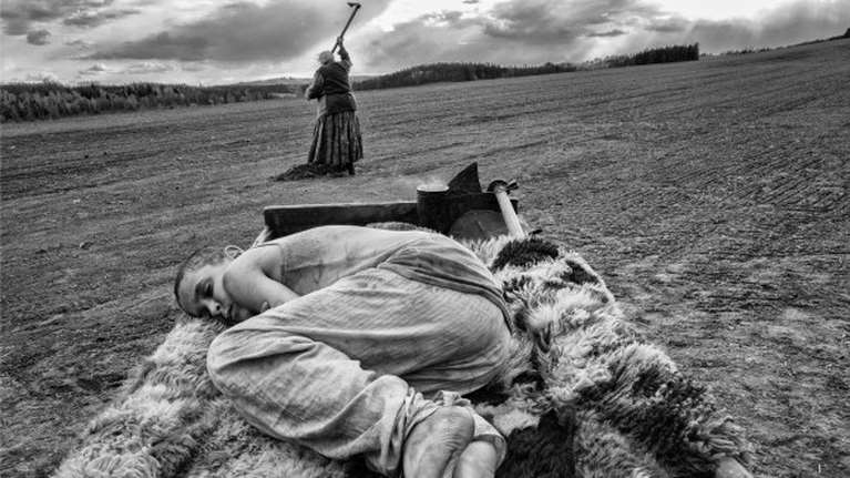 &quot;Το βαμμένο πουλί&quot; και εξαιρετικές ταινίες αυτή την εβδομάδα