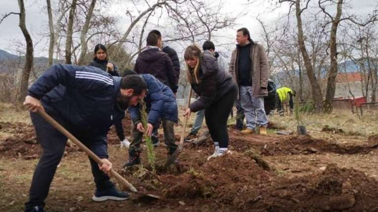 Τραγωδία στα Τέμπη: Φοιτητές από το Καρπενήσι φύτευσαν 57 κυπαρίσσια στη μνήμη των νεκρών