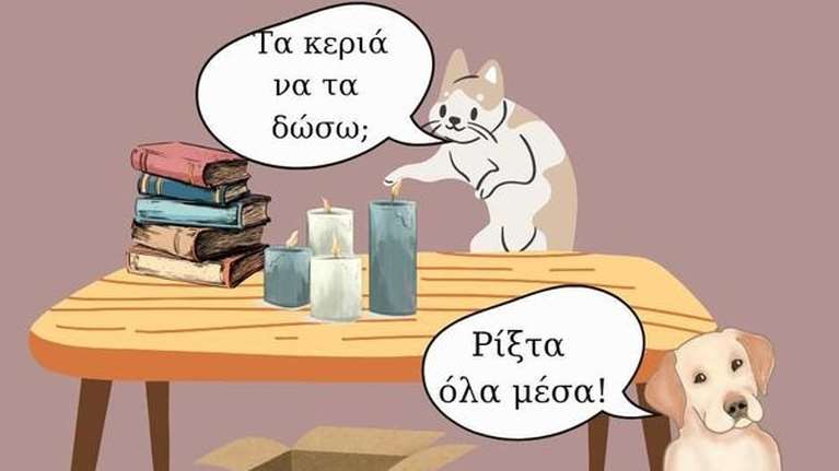 Γίνετε μέρος της αλυσίδας αγάπης για τα αδέσποτα: Δώστε ότι δεν χρειάζεστε πλέον στη ΖΕΗ