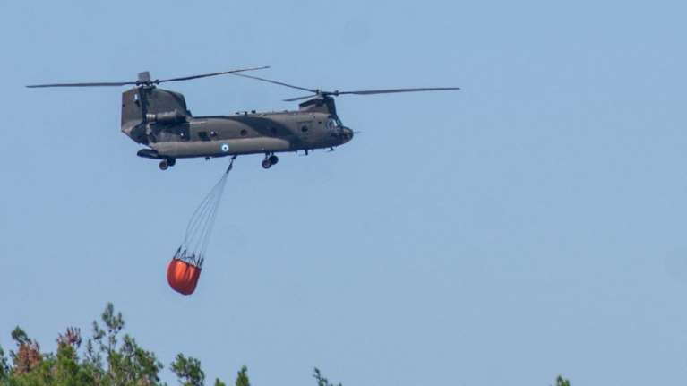 Φωτιά στον Έβρο: Νέες αντιπυρικές ζώνες στο νοτιοδυτικό τμήμα του Εθνικού Πάρκου Δαδιάς