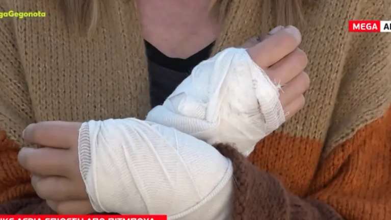 Γλυκά Νερά: Γυναίκα δέχθηκε επίθεση από πιτ μπουλ στη μέση του δρόμου - &quot;Τα χέρια μου αχρηστεύτηκαν&quot;