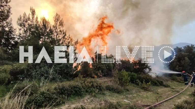 Ηλεία: Ανεξέλεγκτη η φωτιά στο Λιβαδάκι - Εντολή εκκένωσης του οικισμού - Ενισχύθηκαν οι δυνάμεις