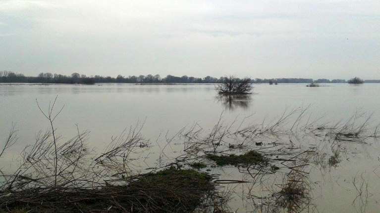 Εβρος: Σε κατάσταση συναγερμού οι Φέρες- Πάνω από το όριο η στάθμη των υδάτων