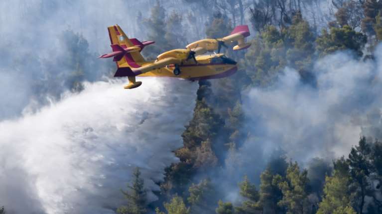Πώς φτάσαμε στον πύρινο εφιάλτη: Η έλλειψη συντονισμού και η επιλογή να σωθεί η Αττική αντί για την βόρεια Εύβοια