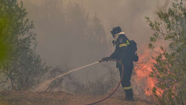 Πυρκαγιά στην Εύβοια - Μεγάλη κινητοποίηση της Πυροσβεστικής [εικόνες]