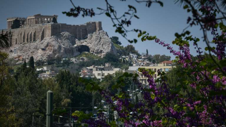 Αγχουσέλα η ποικιλόχρωμη: Πάνω από 220 σπάνια είδη φυτών γύρω από την Ακρόπολη