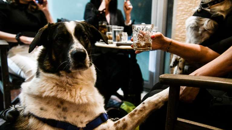 Μετά μουσικής η εστίαση από το Σαββατοκύριακο – Διευρύνεται το ωράριο μέχρι 1:30 – Την Τετάρτη οι τελικές αποφάσεις