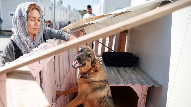 Βαγιοχώρι: Ενα προσφυγικό camp πρότυπο φιλοζωίας, γεμάτο σκυλόσπιτα και γάτες [εικόνες]