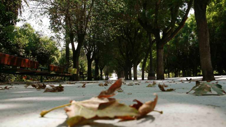 Αίθριος ο καιρός σήμερα με μικρή άνοδο της θερμοκρασίας - Πού θα σημειωθούν τοπικές βροχές