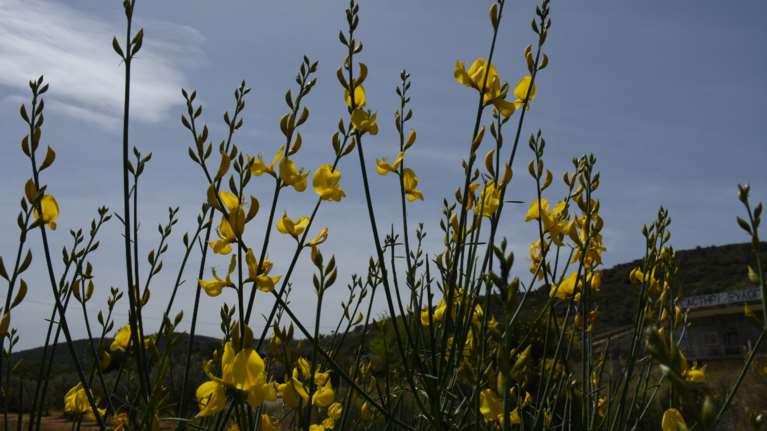 Φτιάχνει ο καιρός από σήμερα: Ερχονται 20αρια με λίγες νεφώσεις - Πού αναμένονται τοπικές βροχές