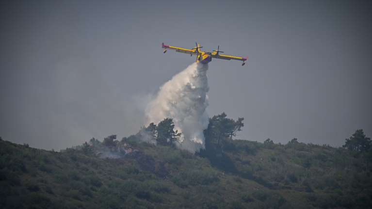 Πυρκαγιά στο Περίβλεπτο Μαγνησίας - Μεγάλη κινητοποίηση της Πυροσβεστικής