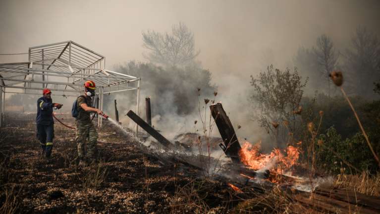 Ερχονται δασοκομάντο από τη Βόρεια Ευρώπη για την αντιμετώπιση των πυρκαγιών
