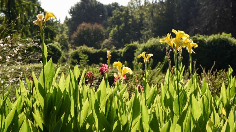 Ανοιξιάτικος ο καιρός και σήμερα - Τους 20 βαθμούς θα φτάσει ο υδράργυρος