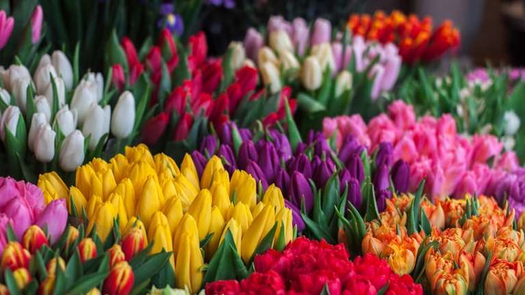 Εορτολόγιο: Ποιοι γιορτάζουν σήμερα, Δευτέρα 8 Μαρτίου