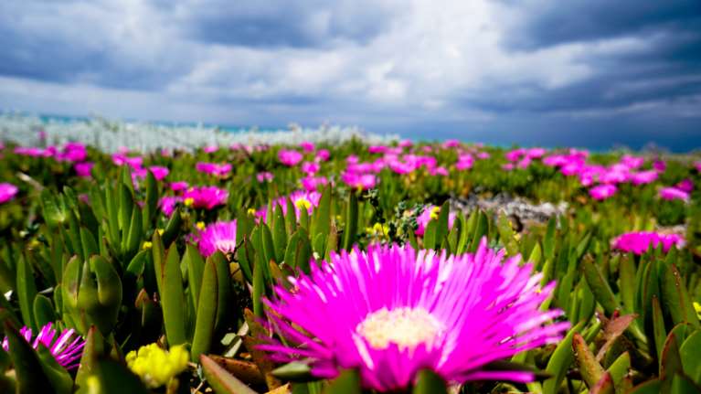 Ο καιρός της Μ. Πέμπτης: Εως 22 βαθμούς ο υδράργυρος, σκόνη και τοπικές βροχές