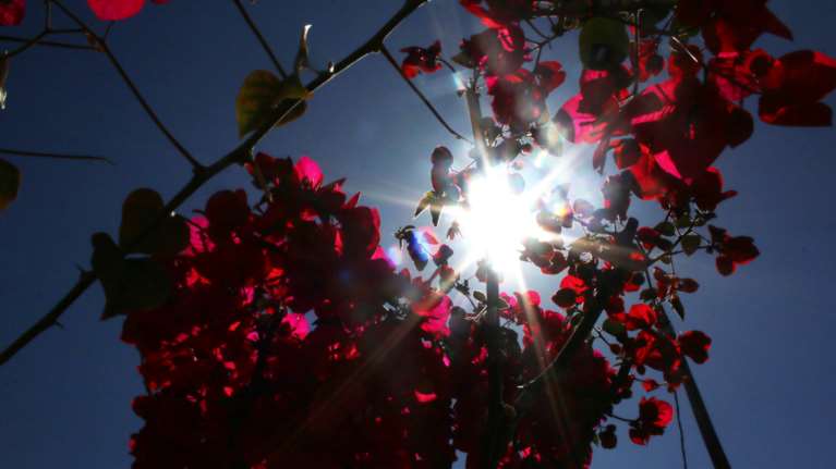 Ο καιρός της Μ. Τρίτης: Ανεβαίνει κι άλλο ο υδράργυρος - Εως 25 βαθμούς η θερμοκρασία