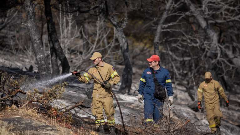 Χωρίς ενεργό μέτωπο η πυρκαγιά στη Νέα Μάκρη - Σε εξέλιξη οι έρευνες για εμπρησμό