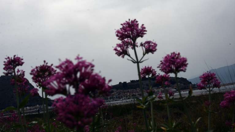 Καιρός: Ανοιξιάτικες θερμοκρασίες με τοπικές βροχές και αφρικανική σκόνη