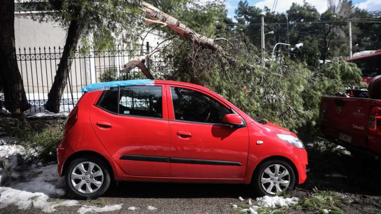 Απίστευτο: Ζητά αποζημίωση από τον Δήμο Αλίμου για δένδρο που έπεσε στο αυτοκίνητό του ενώ είχε αρνηθεί να το κόψουν