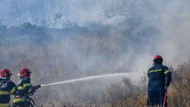 Συναγερμός στην πυροσβεστική για φωτιά στους Δελφούς