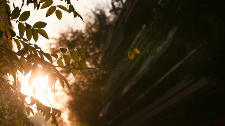 Αίθριος ο καιρός σήμερα: Εως 20 βαθμούς η θερμοκρασία - Πού θα σημειωθούν βροχές