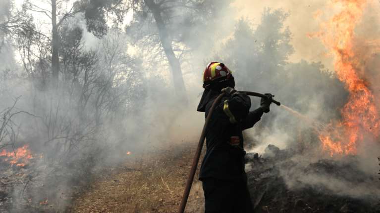 Φωτιά σε δάσος στην Πάτρα: Μεγάλη επιχείρηση της Πυροσβεστικής