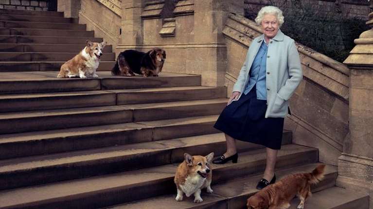 Ώρες μοναξιάς και αγωνίας για τη Βασιλισσα Ελισάβετ: Δύο νέα κόργκι εκτάκτως στο Γουίνσδορ