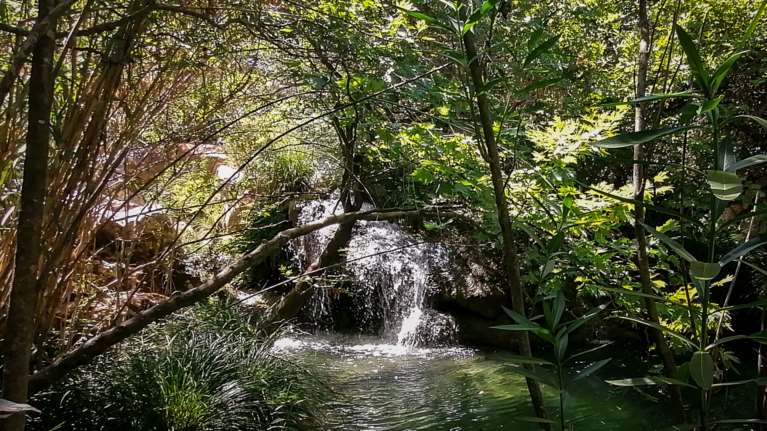 Πολυλίμνιο: Ο καταπράσινος παράδεισος με τις λίμνες και τους καταρράκτες στη Μεσσηνία [εικόνες]