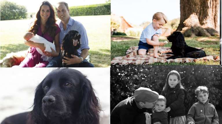 Θλίψη στην οικογένεια της Κέιτ και του Γουίλιαμ: Δυστυχώς, ο Λούπο πέθανε