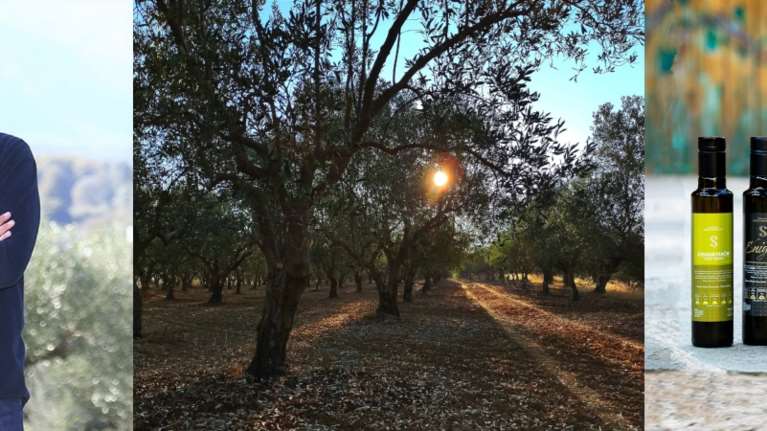 Ελληνας ο καλύτερος ελαιοπαραγωγός της Ευρώπης: Οι βιολογικοί ελαιώνες Σακελλαρόπουλου στη Σπάρτη