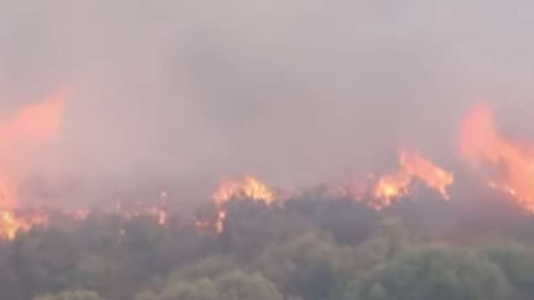 Σε ύφεση η φωτιά στο Αλιβέρι: Συνελήφθη ο 75χρονος που "κάπνιζε" μελίσσια [εικόνες - βίντεο]